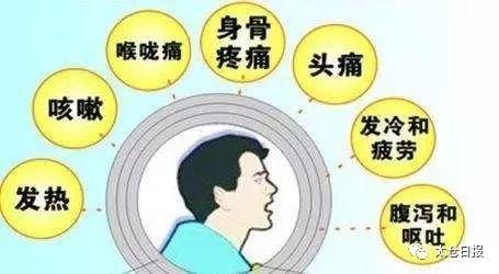 狗狗健康專題，探討狗狗咳嗽時(shí)能否接種疫苗的注意事項(xiàng)