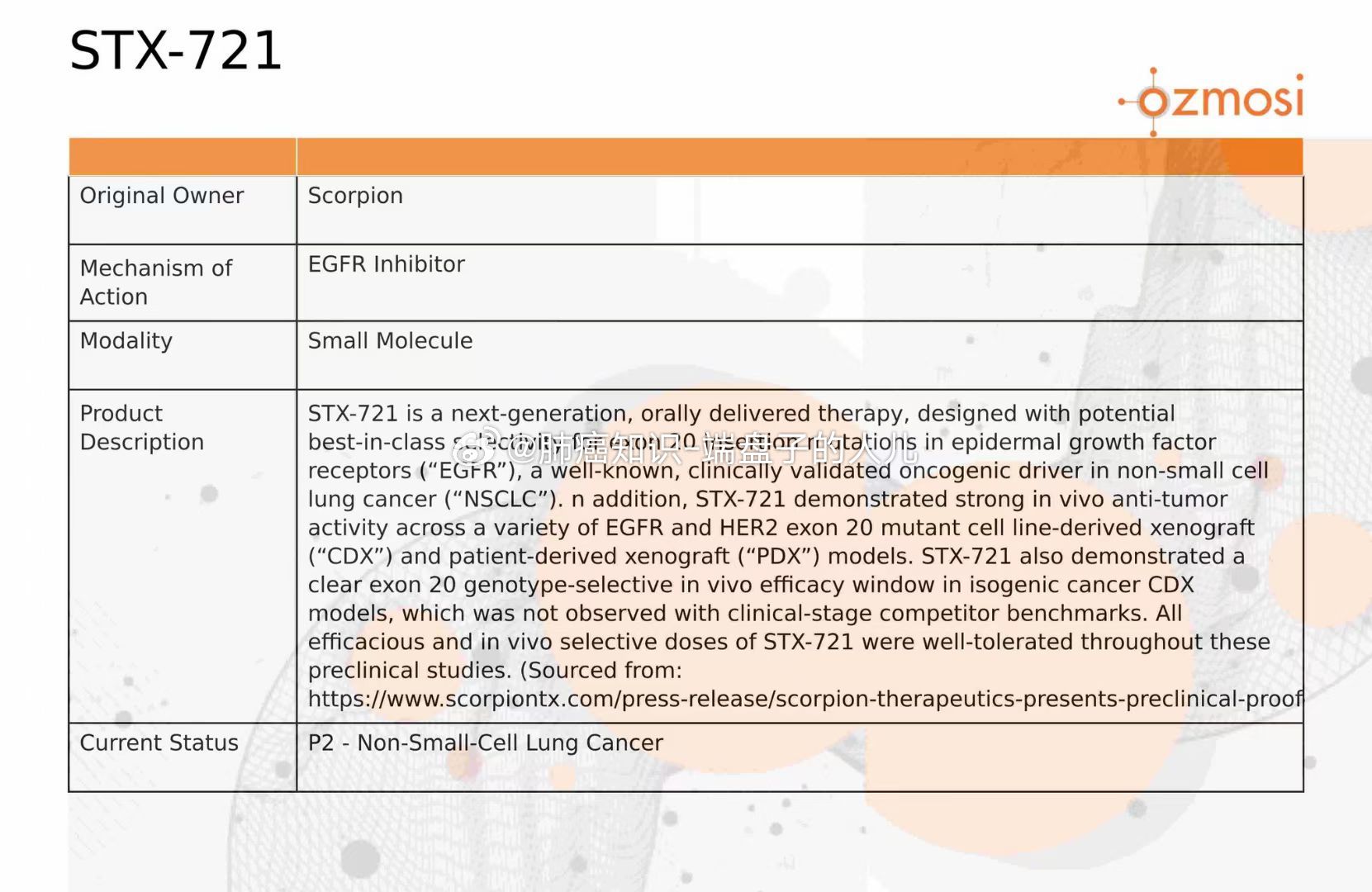 STX最新動(dòng)態(tài)引領(lǐng)行業(yè)變革風(fēng)潮