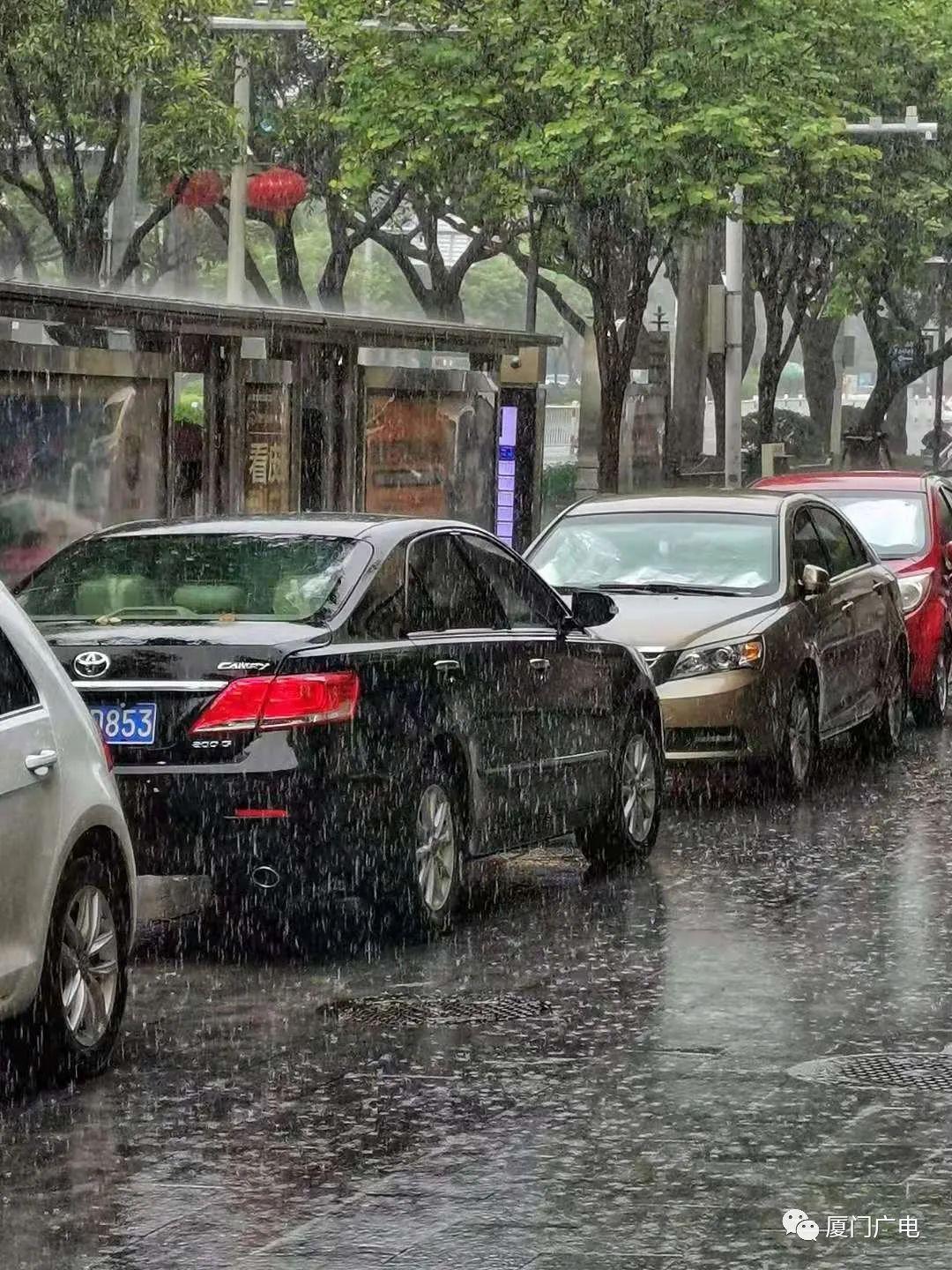 福建暴雨預(yù)警信號(hào)升級(jí)，守護(hù)生命安全刻不容緩