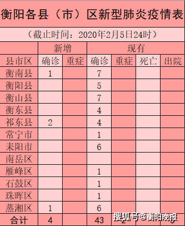 衡陽最新疫情案例，城市應(yīng)對挑戰(zhàn)與措施